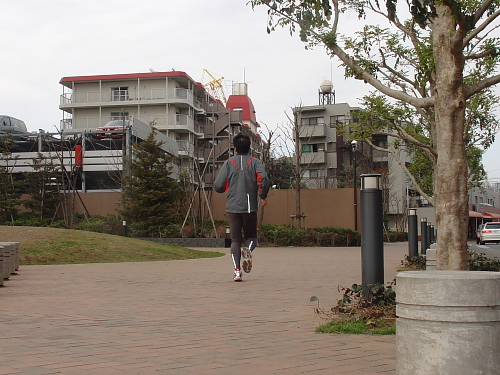 日曜日は、和光樹林公園10Kmです。_f0166066_15425862.jpg