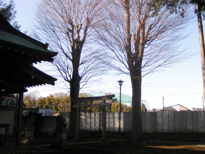 日枝神社とその周辺：日野市川辺堀之内_c0112172_222953100.jpg