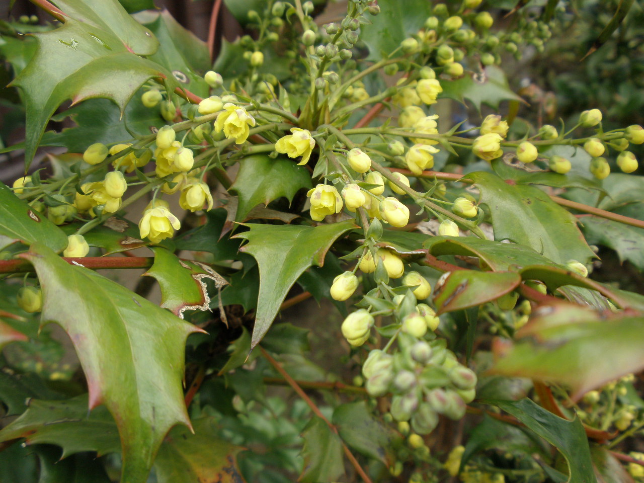 b0157276_032061.jpg