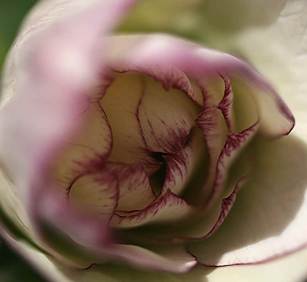 e0129991_2092516.jpg