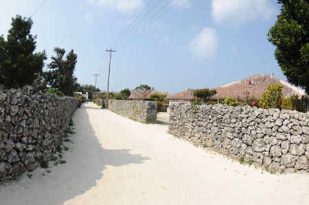 d0133295_48320.jpg