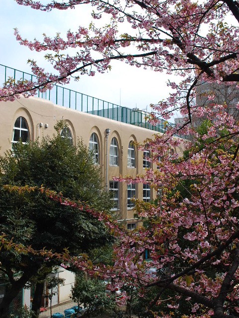 東京都千代田区立九段小学校(大正モダン建築探訪)_f0142606_1912929.jpg