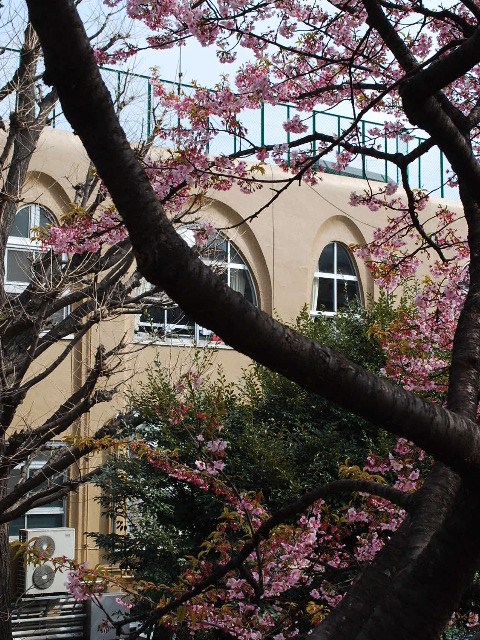 東京都千代田区立九段小学校(大正モダン建築探訪)_f0142606_1913195.jpg