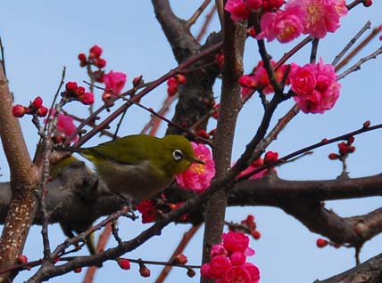 別府南立石公園_b0014607_21255973.jpg