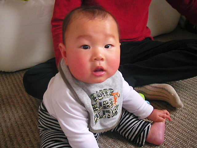 f0038407_16174867.jpg