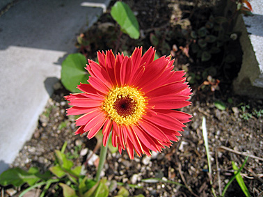 c0163810_20364512.jpg
