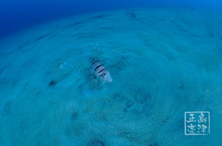 b0132211_20222834.jpg