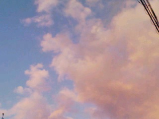 f0000211_3214765.jpg
