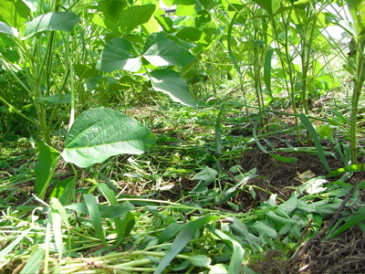 e0092221_17233514.jpg