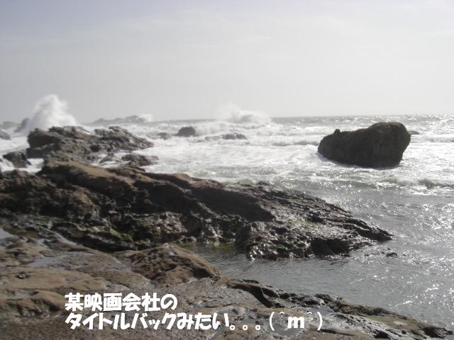 第8回アリスとのお泊り旅行（2009年2月13日～14日）房総へ⑤_f0182121_9511728.jpg