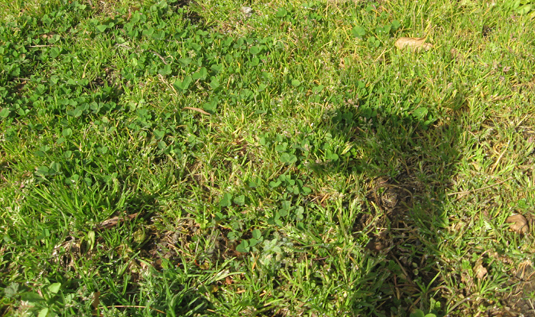 c0038424_23313892.jpg