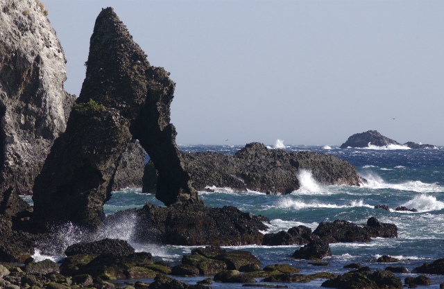 f0064530_17554870.jpg