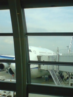 e0069433_124512.jpg