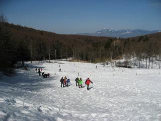 雪を求めて3千里?_f0019247_022141.jpg