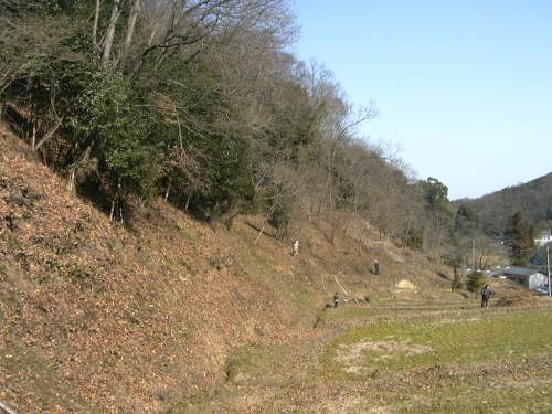 里山の話＜里山が一年で一番、輝く季節。＞_f0002248_15591091.jpg