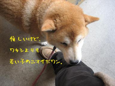 RUNさんの代わりに~♪_c0049950_1016451.jpg