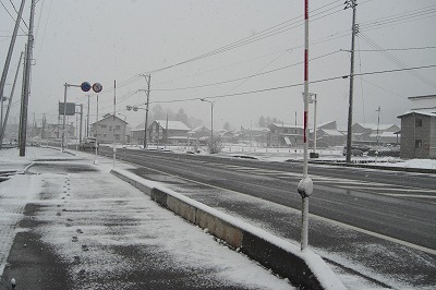 今日の雪降り_a0084753_16545052.jpg