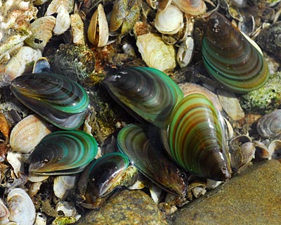 e0035757_2313237.jpg