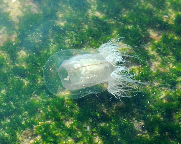 e0035757_2315208.jpg