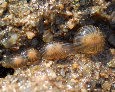 e0035757_23153878.jpg