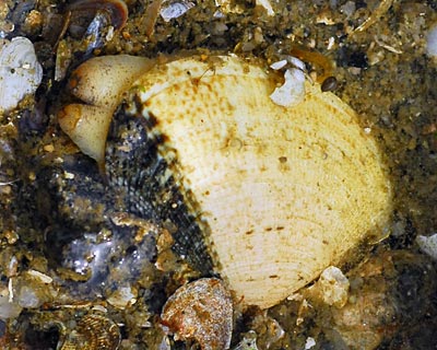 e0035757_23163930.jpg