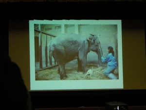 王子動物園サポーターズディ　その2_b0024758_23485443.jpg