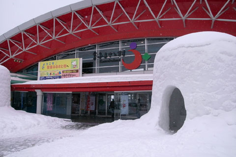 a0083760_1144946.jpg