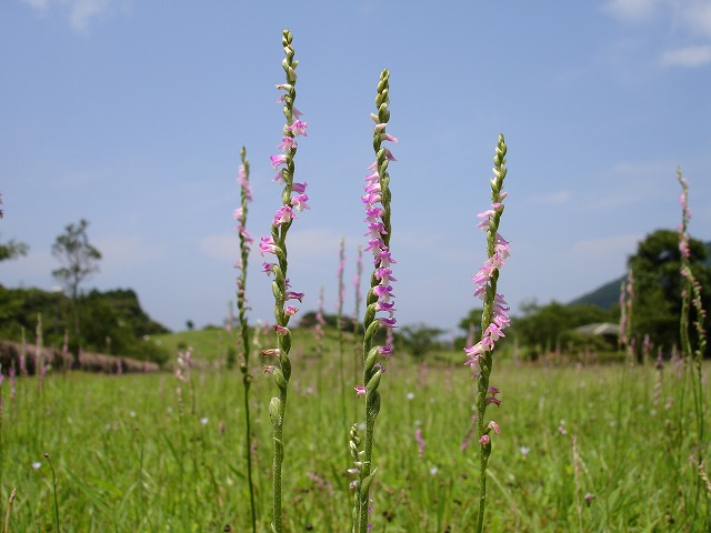 b0104861_2153638.jpg