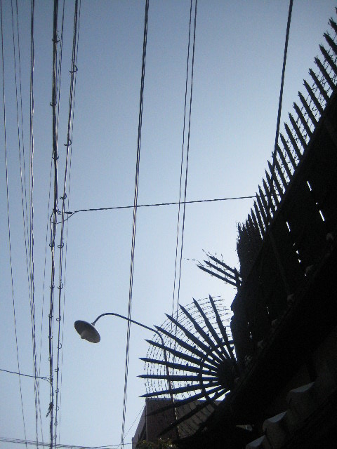 c0192970_00065.jpg