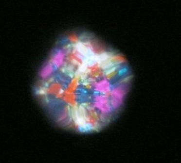 e0033775_12415016.jpg