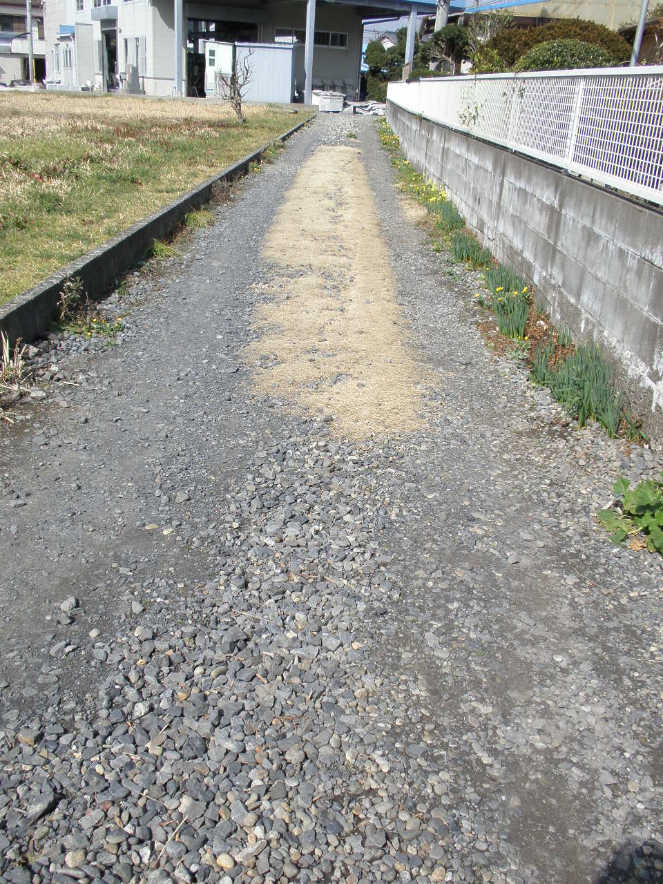 b0157276_1721253.jpg