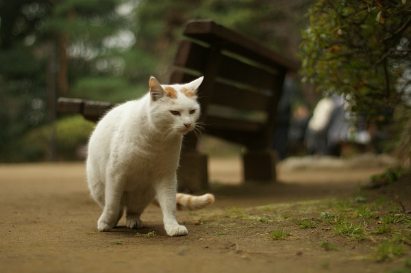 地べたより_c0109780_1634742.jpg