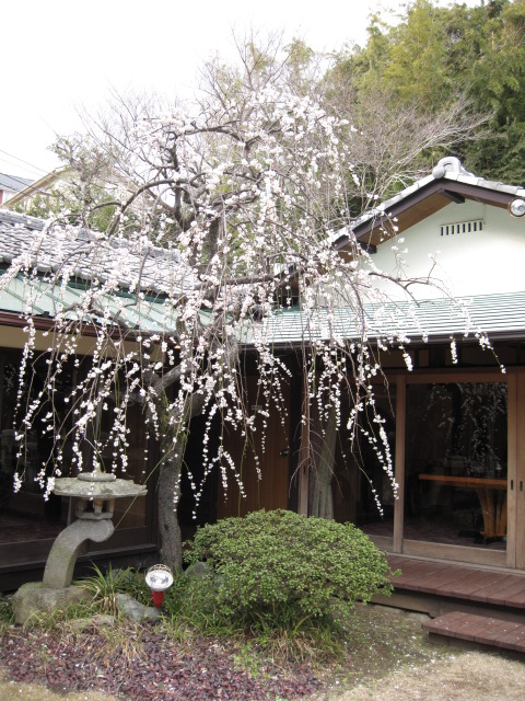 鎌倉山ローストビーフ☆本店_e0126094_9422218.jpg