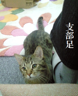 c0181601_1255559.jpg