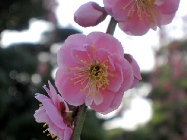 a0040103_19364766.jpg