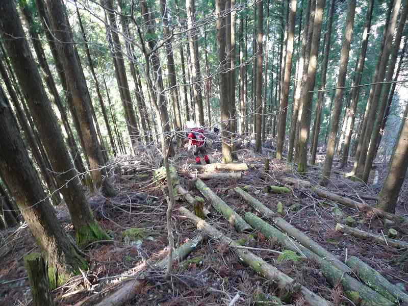 三嶺（北西尾根）～西熊山（北東尾根）　周遊_b0124306_2337548.jpg