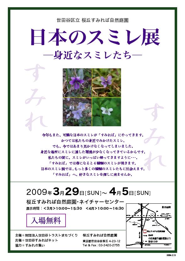 スミレ展、今年も開催!_b0049307_18402055.jpg