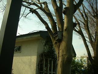 アタフタアタフタ_c0102228_1948664.jpg