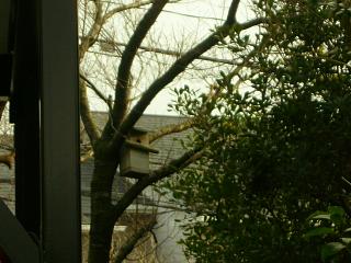 アタフタアタフタ_c0102228_19502627.jpg