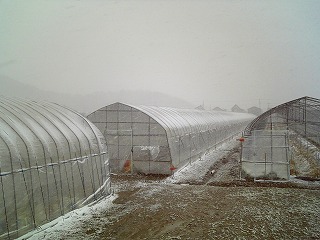 f0032130_9294344.jpg