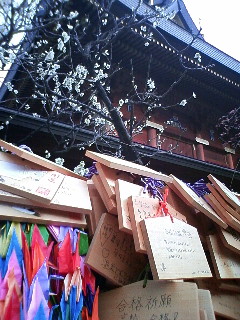 梅_d0092240_16285053.jpg