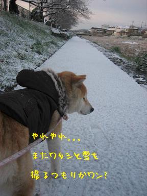 RUNさんの代わりに~♪_c0049950_13301870.jpg
