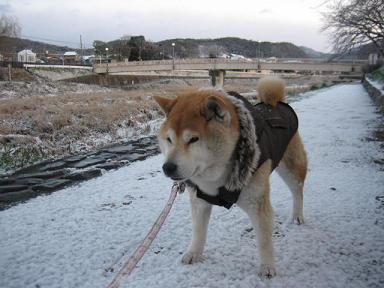 RUNさんの代わりに~♪_c0049950_13341254.jpg