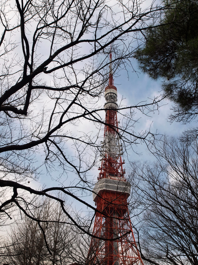 東京タワー　その１_c0069050_23584745.jpg