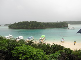 e0042654_1427328.jpg