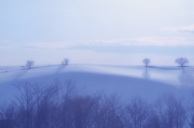 「雪の丘を眺めながら・・・」２月１７日今日のショット_d0019260_3334590.jpg