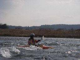 d0043161_1321816.jpg