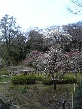 c0102268_2240513.jpg