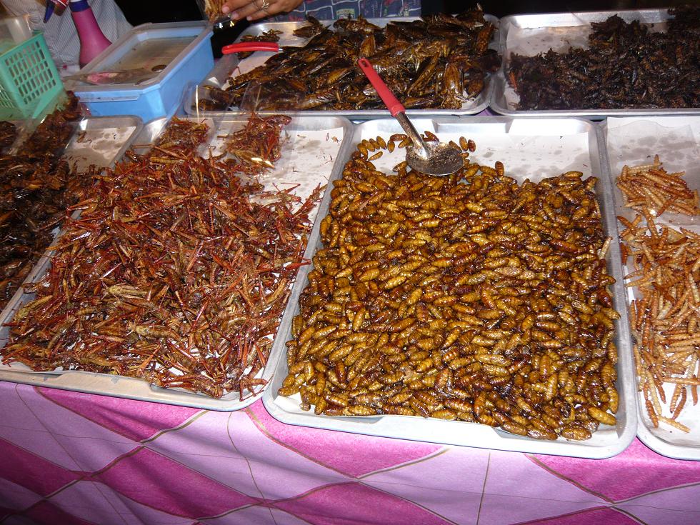 f0178278_11555452.jpg
