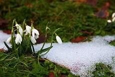 a0107981_0453681.jpg